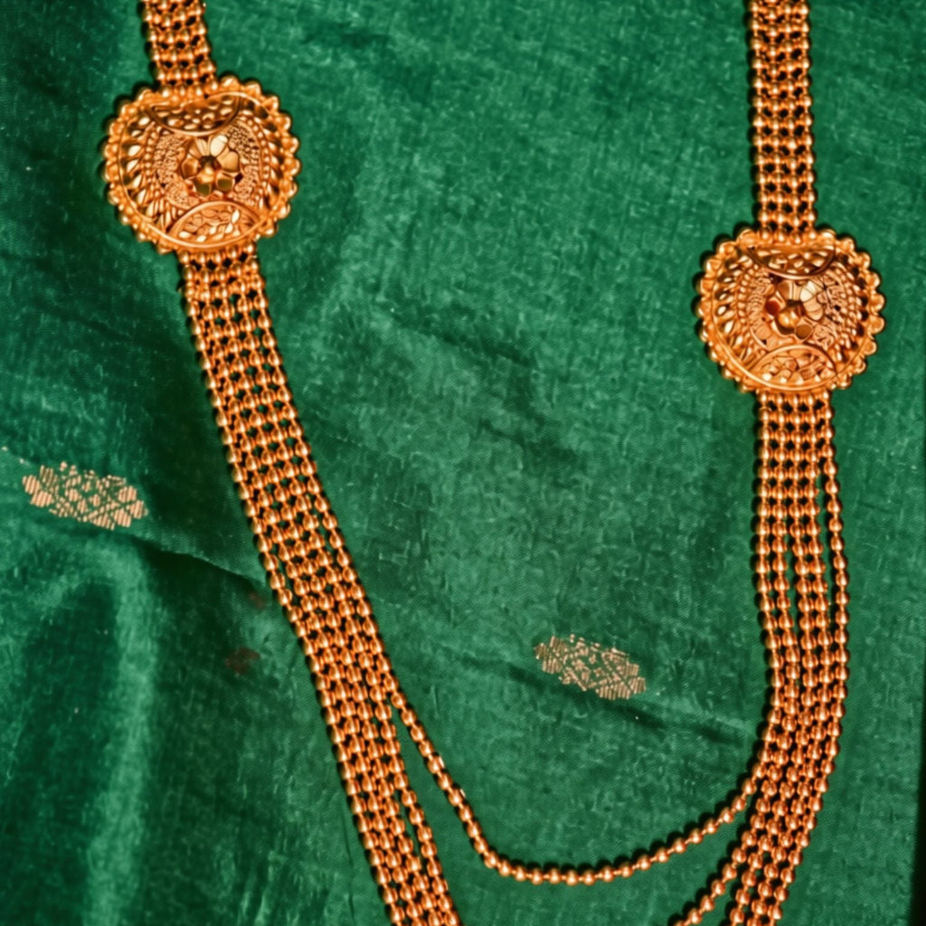 Mayur Rajsi